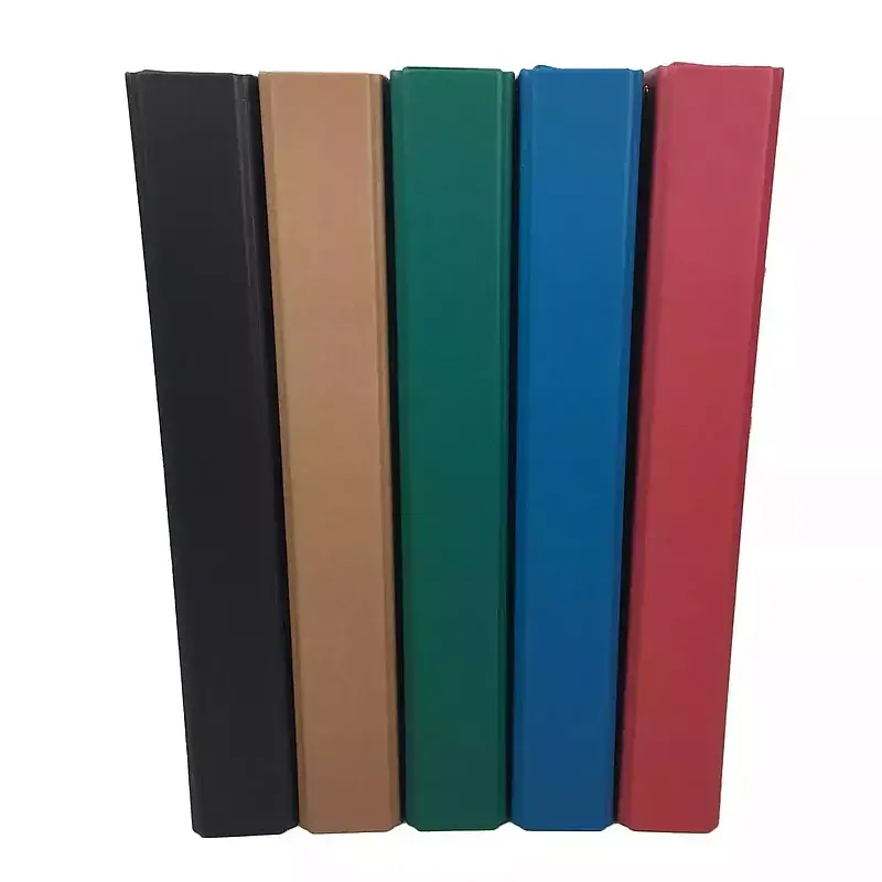 Skoroszyt teczka a4 kraft colours 308x240 assorted pakiet 10 szt. Anb210556