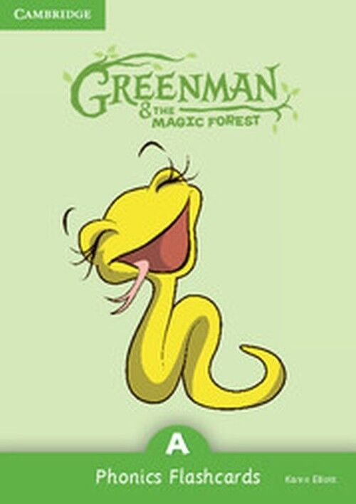 Greenman and the Magic Forest A Phonics Flashcards (Pack of 38)