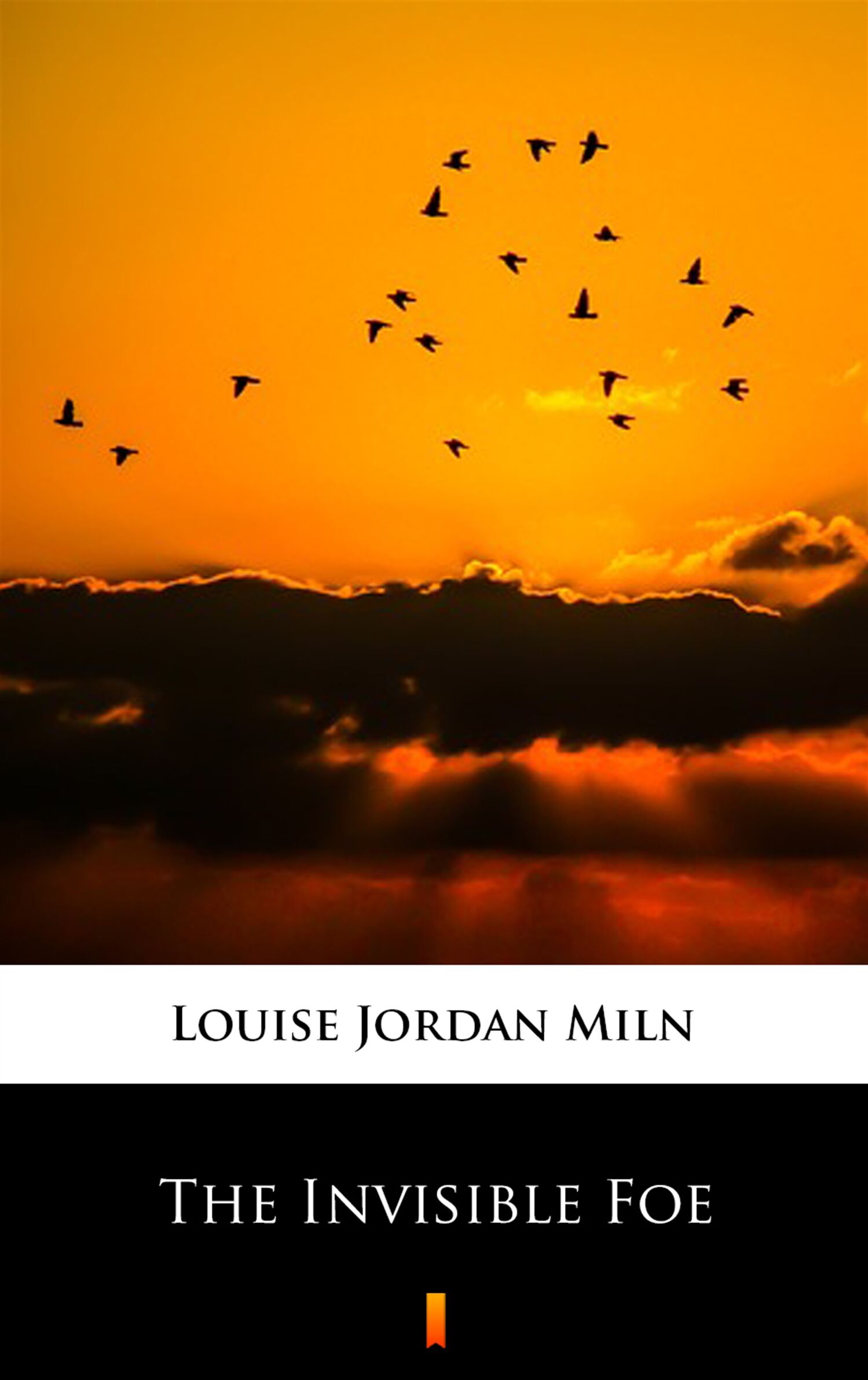 The Invisible Foe (e-book)