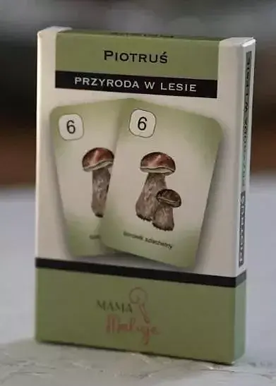 Karty piotruś przyroda w lesie