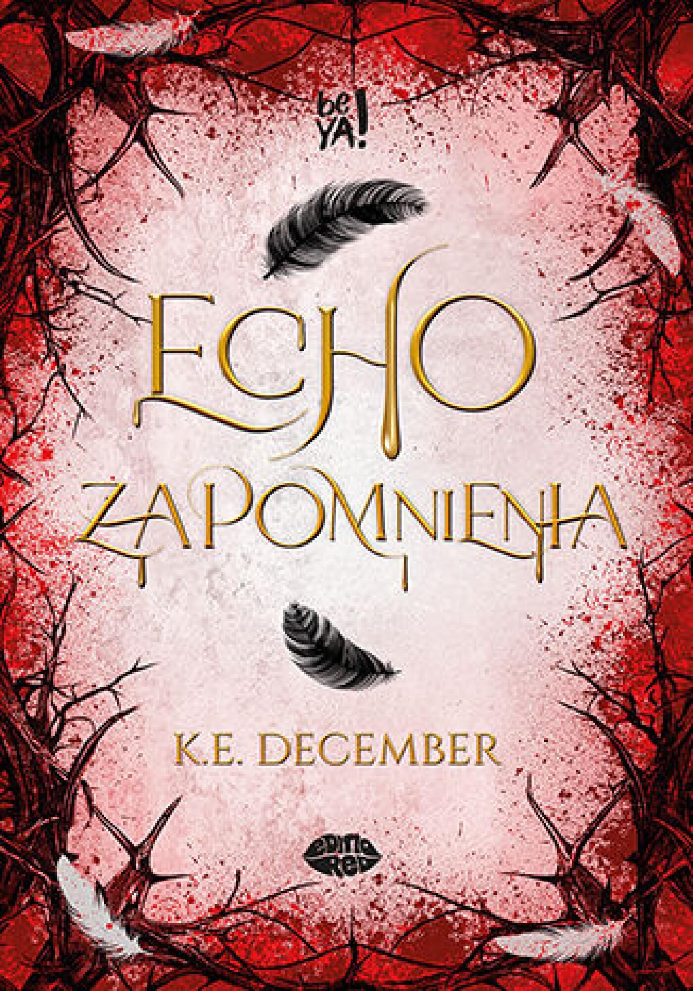 Echo zapomnienia (e-book)