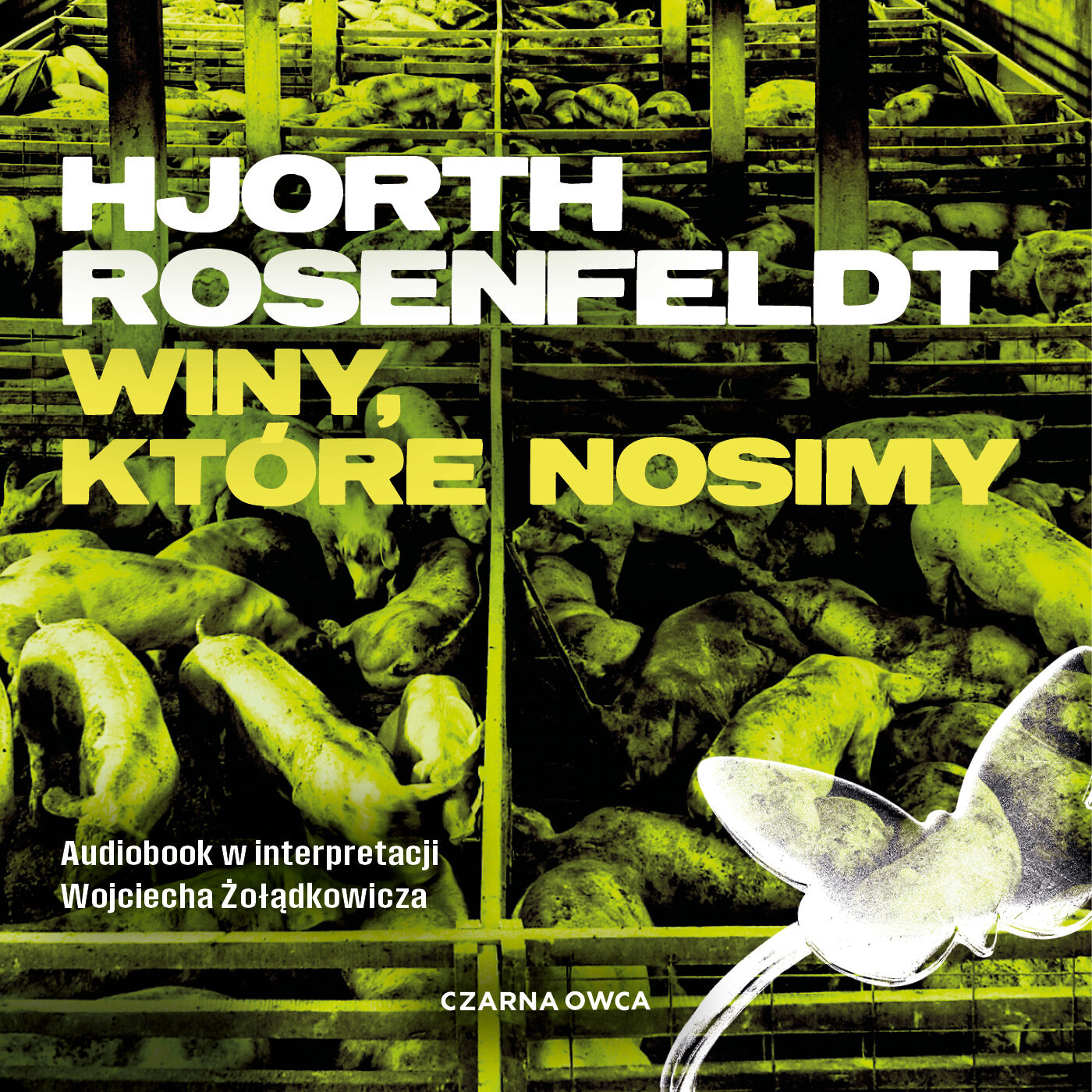 Winy, które nosimy (audiobook MP3)