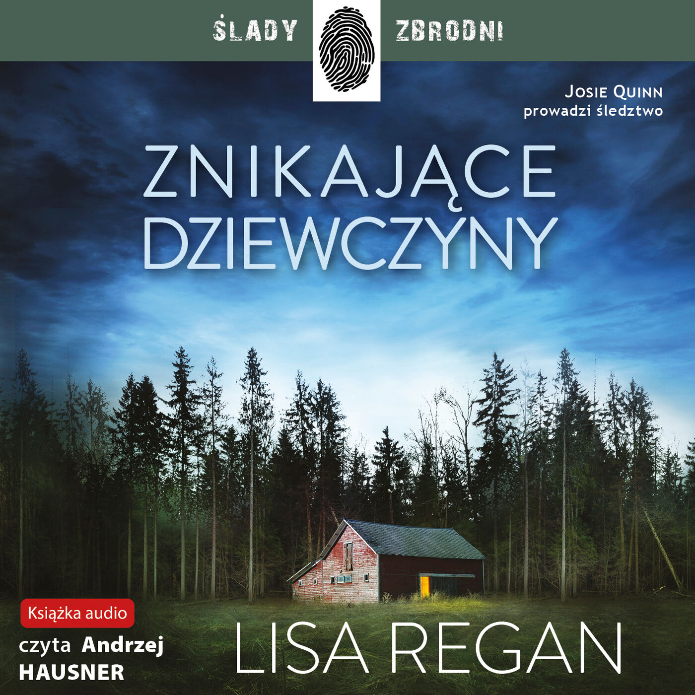 Znikające dziewczyny (audiobook MP3)