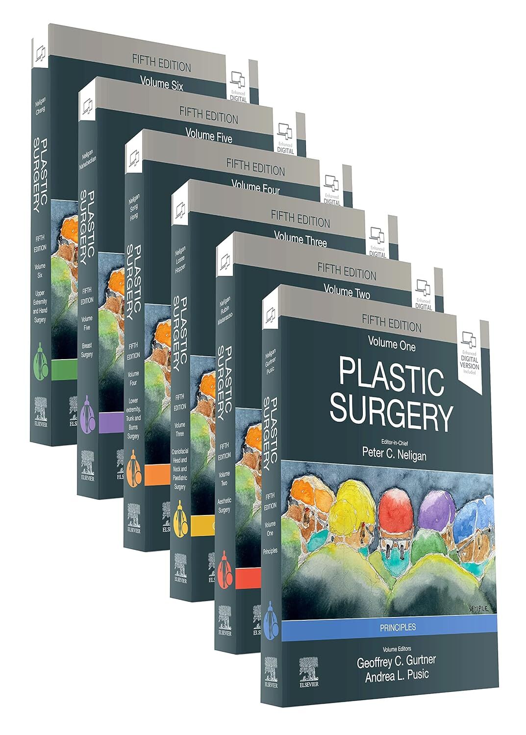 Plastic Surgery . 6-Volume Set