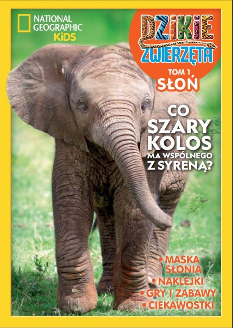 Słoń t.1