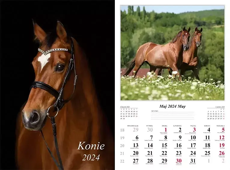 Kalendarz 2024 ścienny 7-k konie