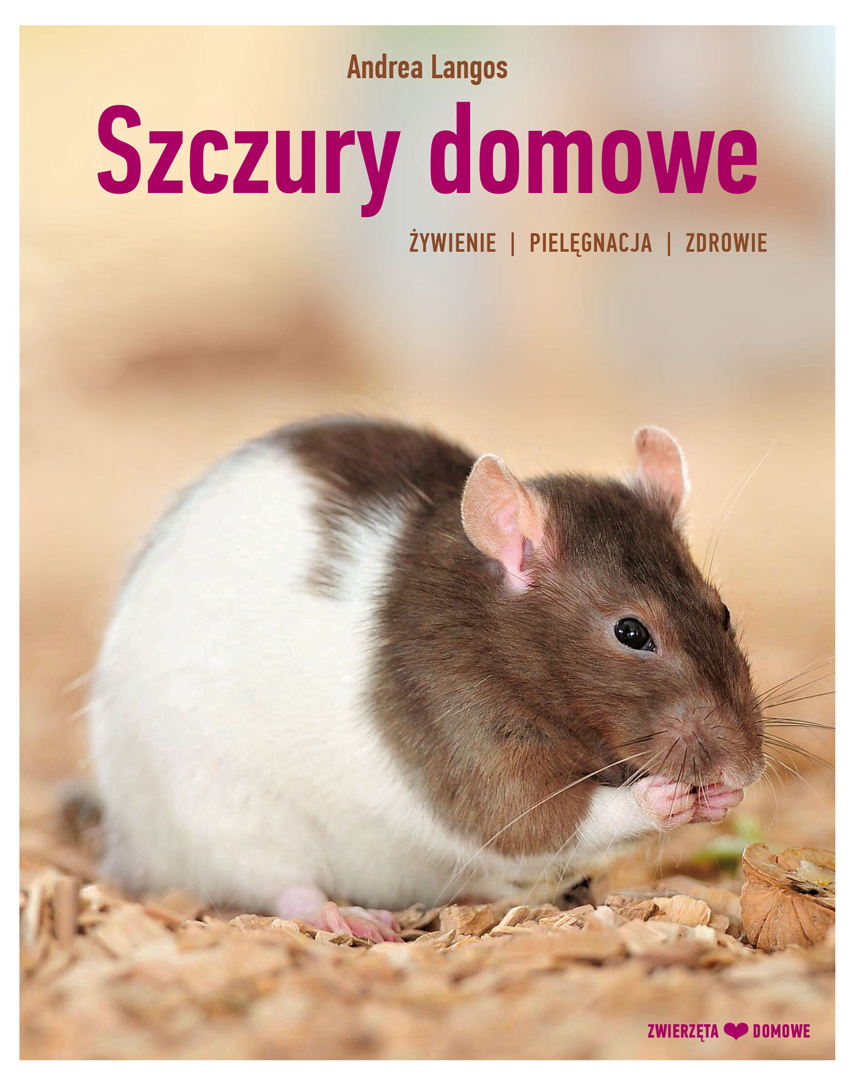 Szczury domowe. Hodowla