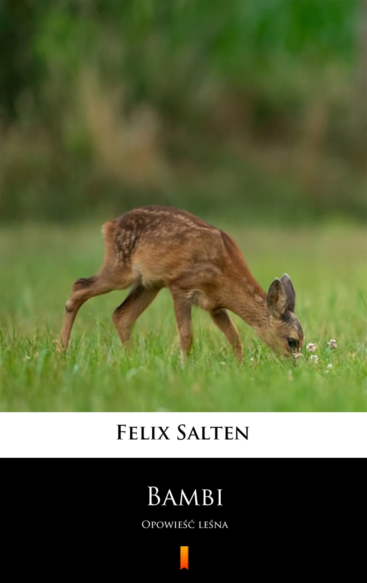 Bambi (e-book)