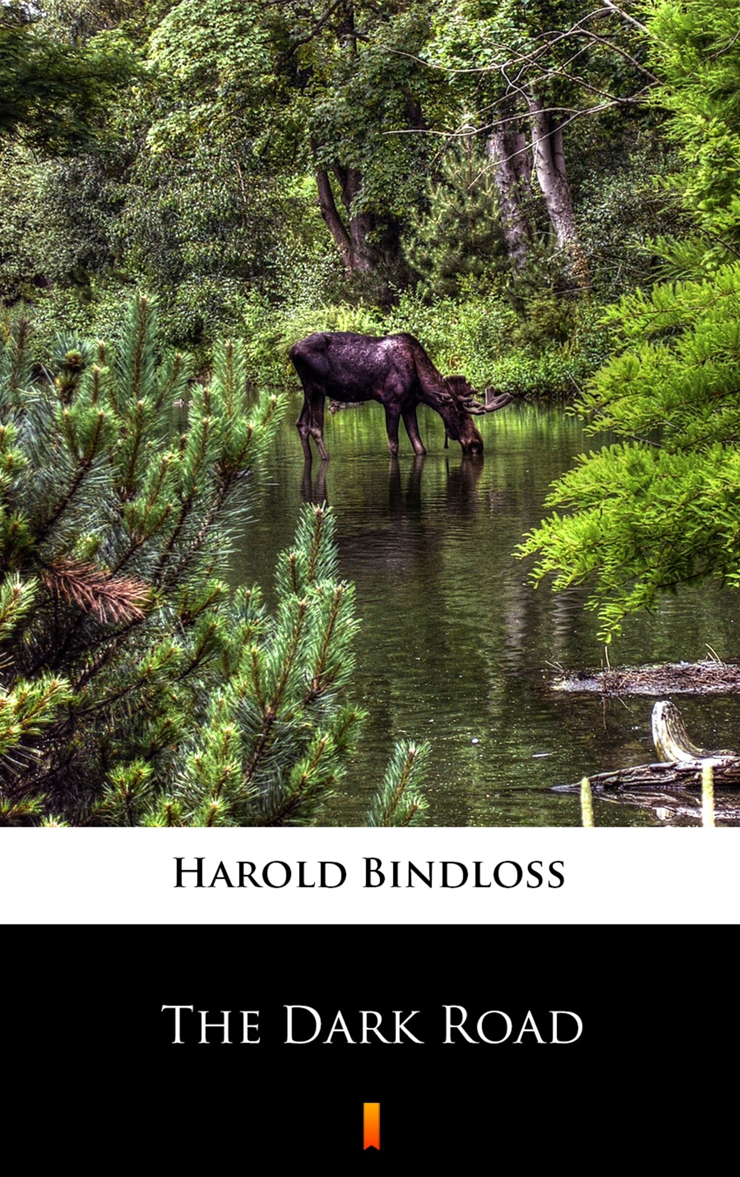The Dark Road (e-book)