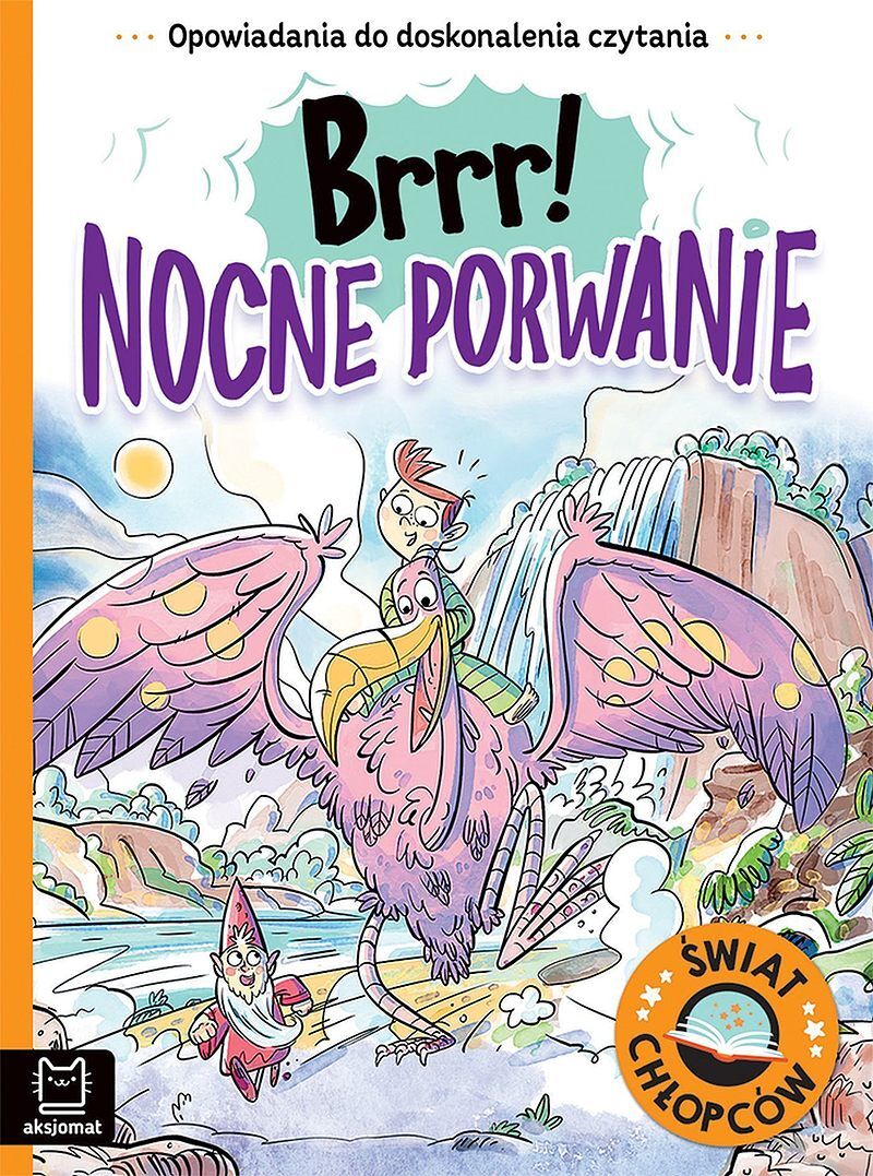 Opowiadania do doskonalenia czytania. Świat chłopców. Brrr! Nocne porwanie
