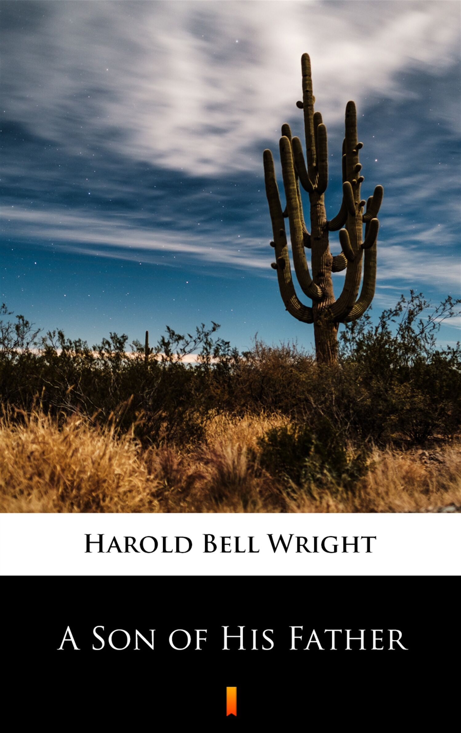 A Son of His Father (e-book)