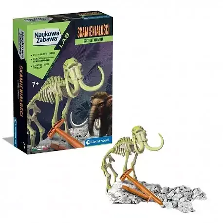 Skamieniałości mamut 50859
