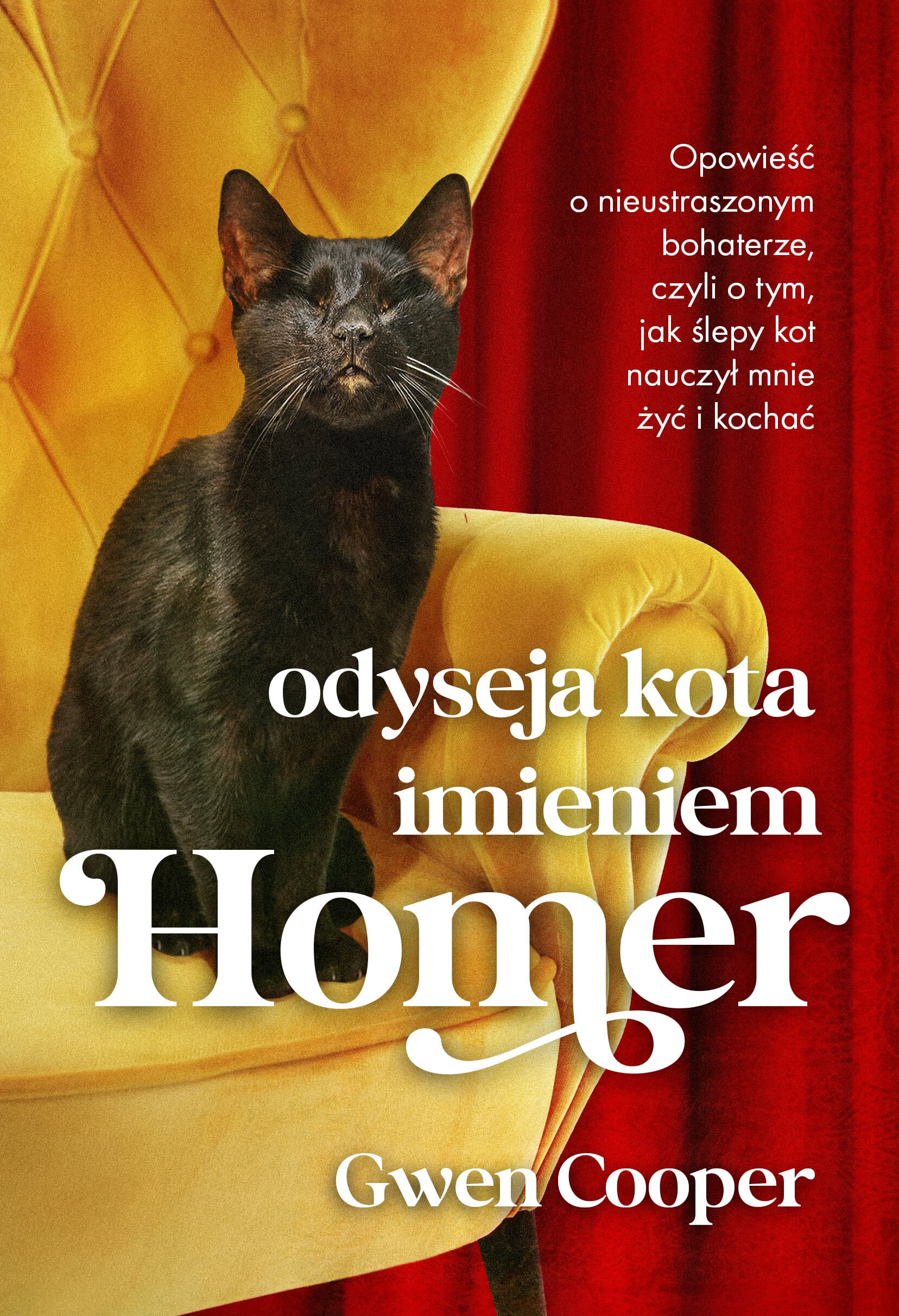 Odyseja kota imieniem Homer (e-book)
