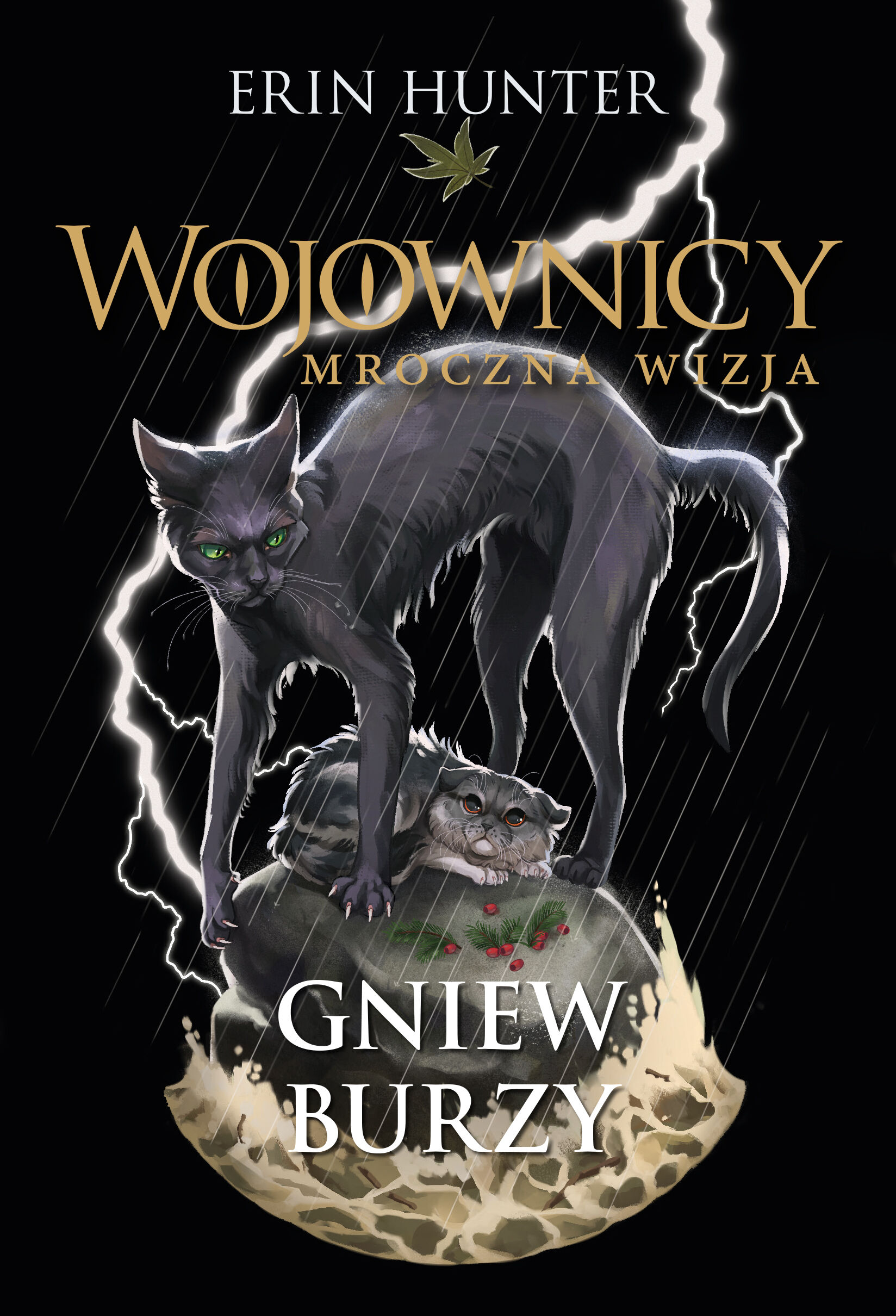 Gniew burzy (e-book)