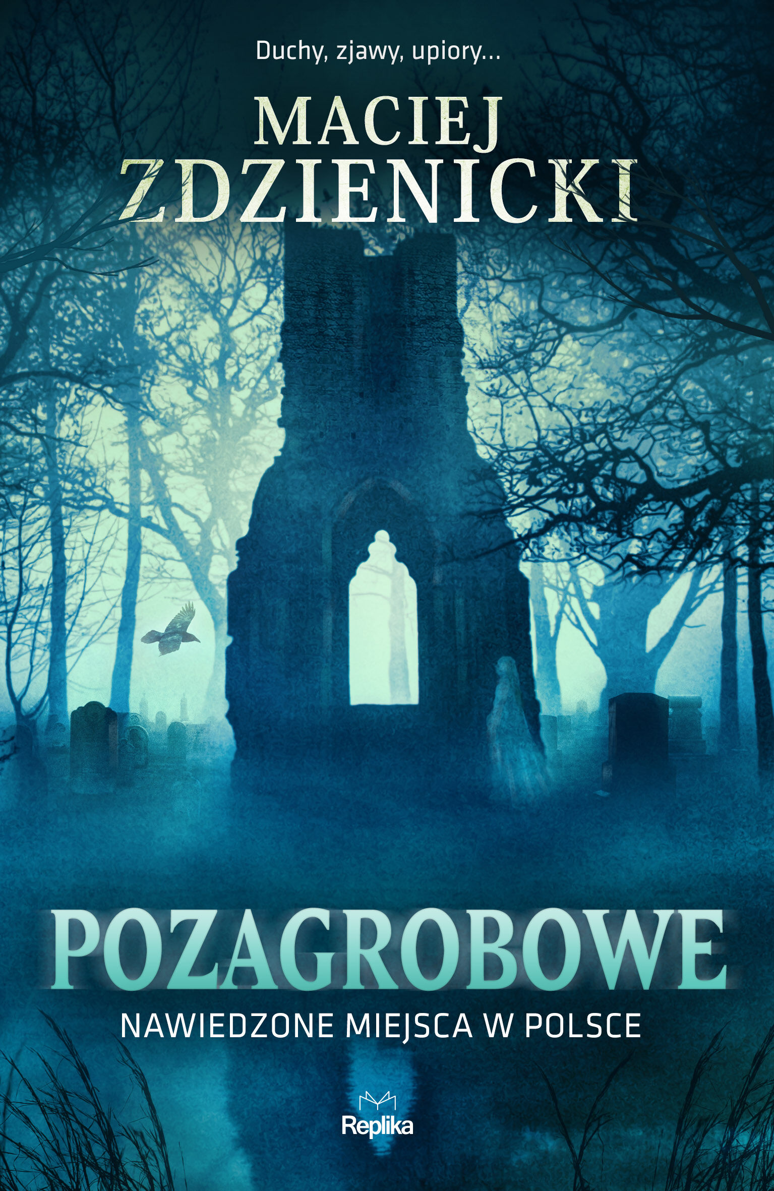 Pozagrobowe. Nawiedzone miejsca w Polsce (e-book)