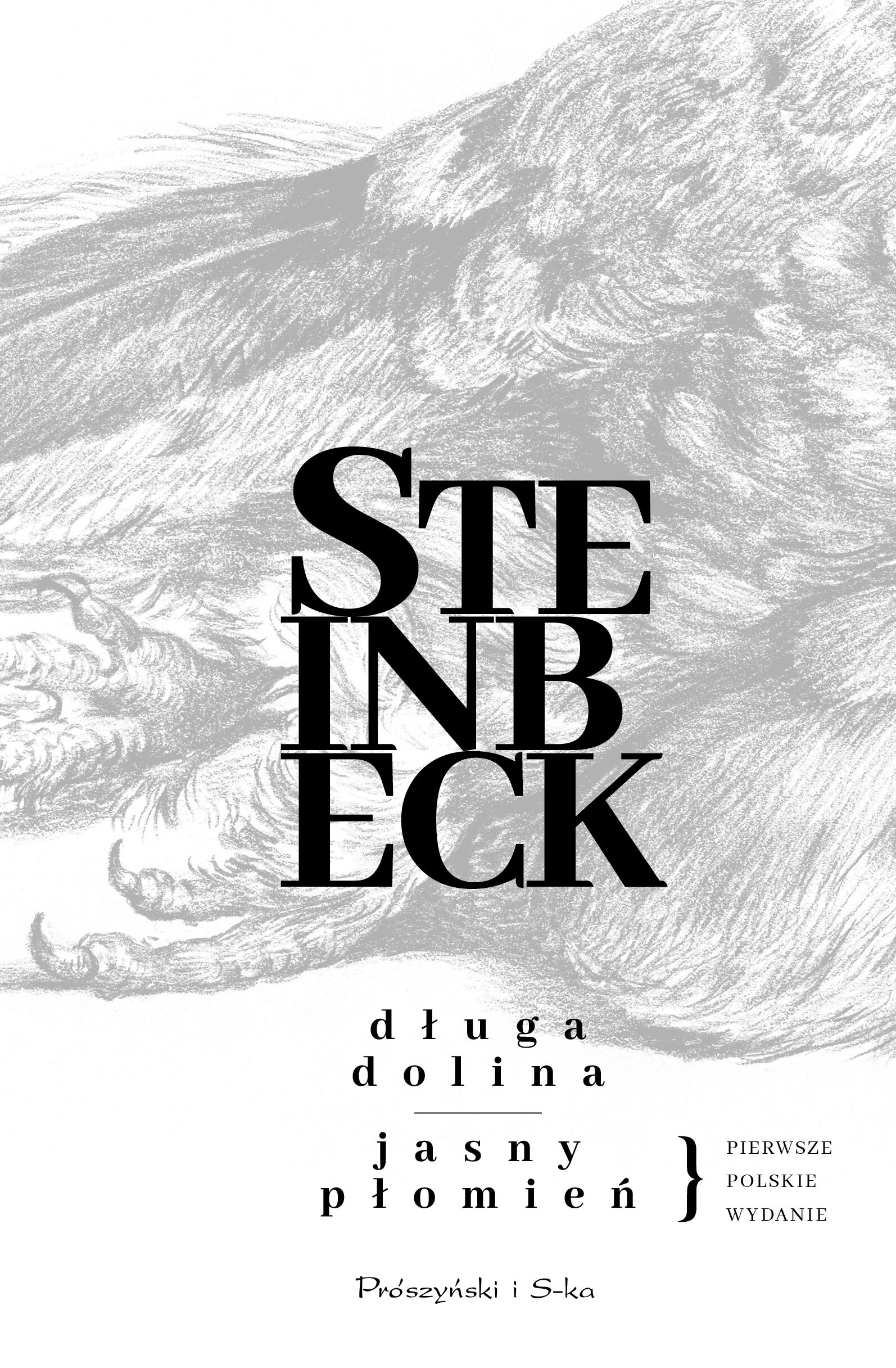 Długa dolina. Jasny płomień (e-book)