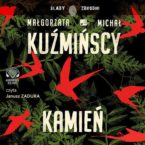 Kamień (książka audio)