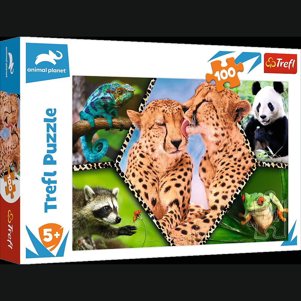 Puzzle 100 Piękno natury 16424