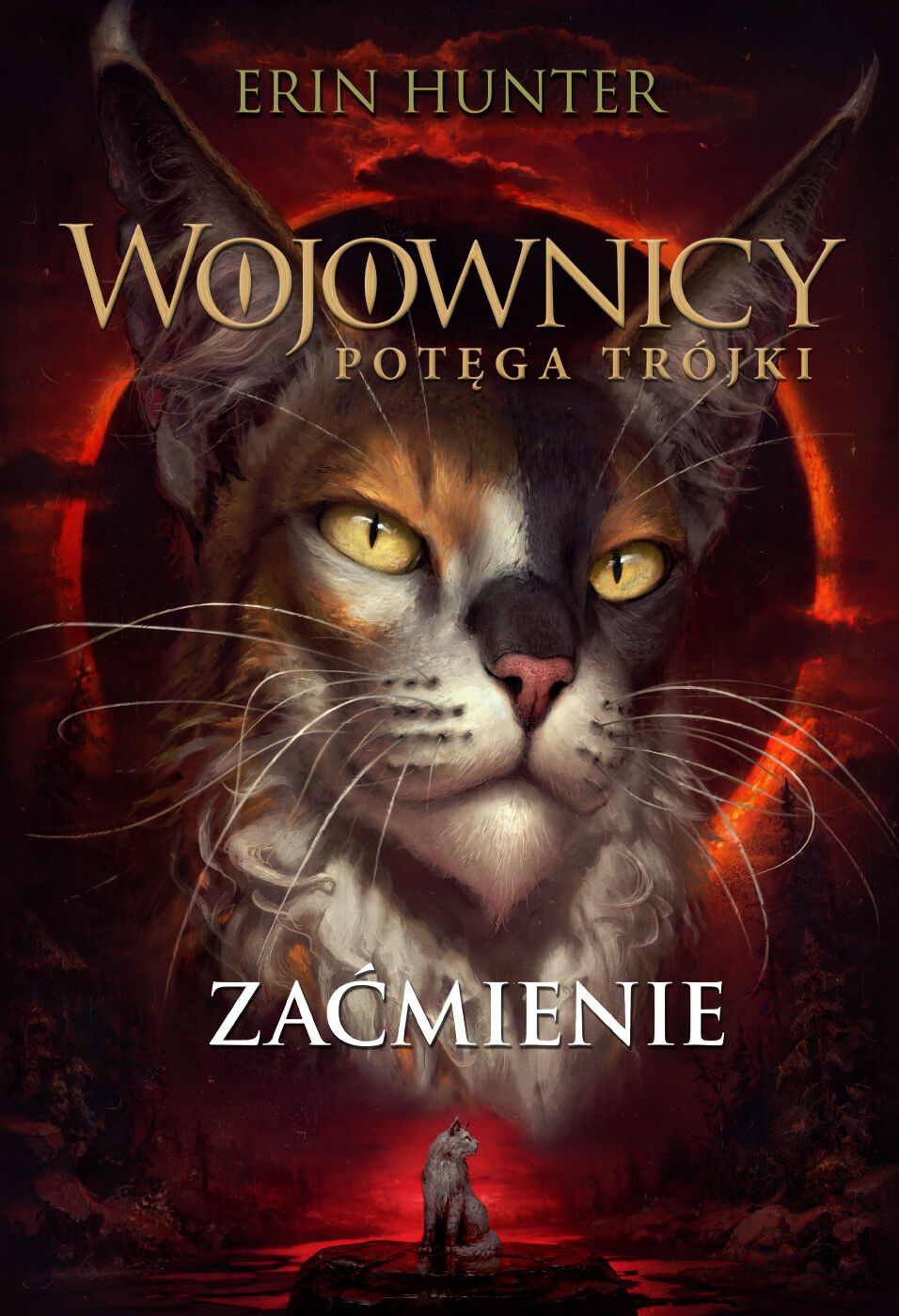 Zaćmienie (e-book)