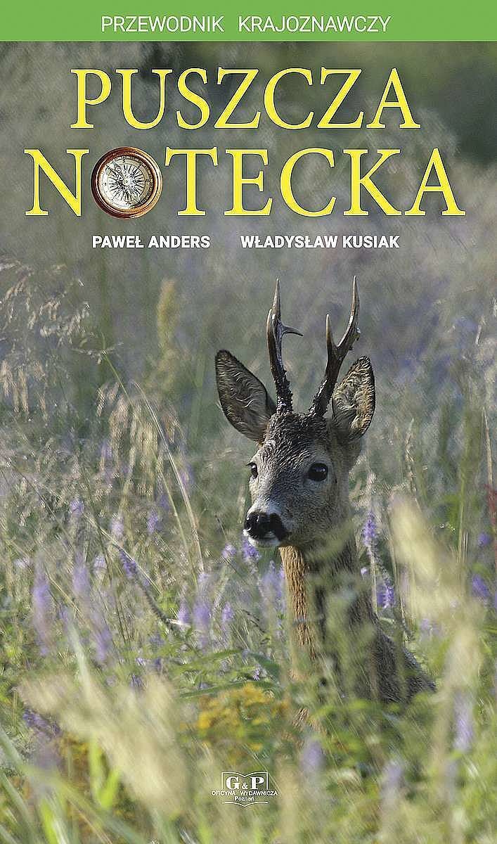 Puszcza Notecka