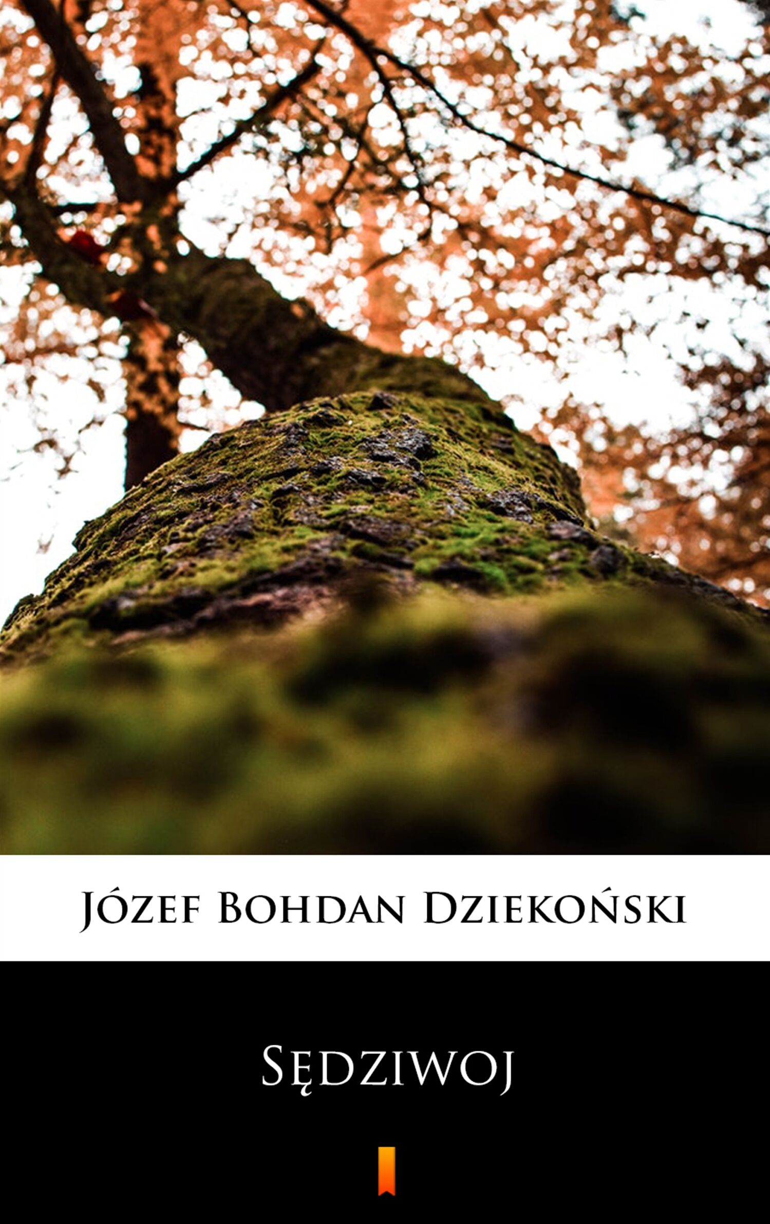 Sędziwoj (e-book)