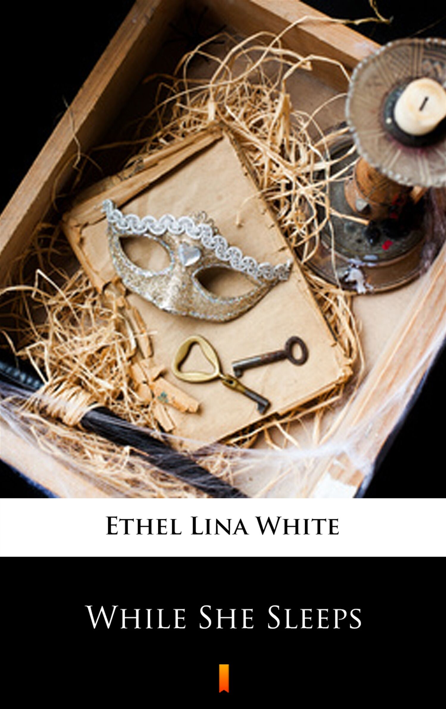 While She Sleeps (e-book)