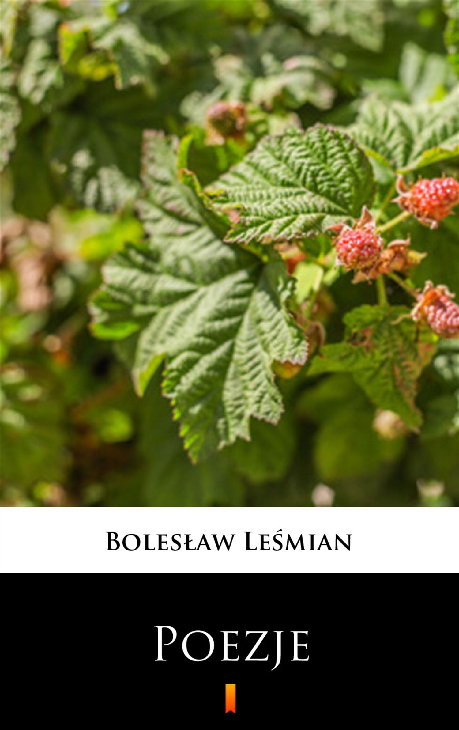 Poezje (e-book)