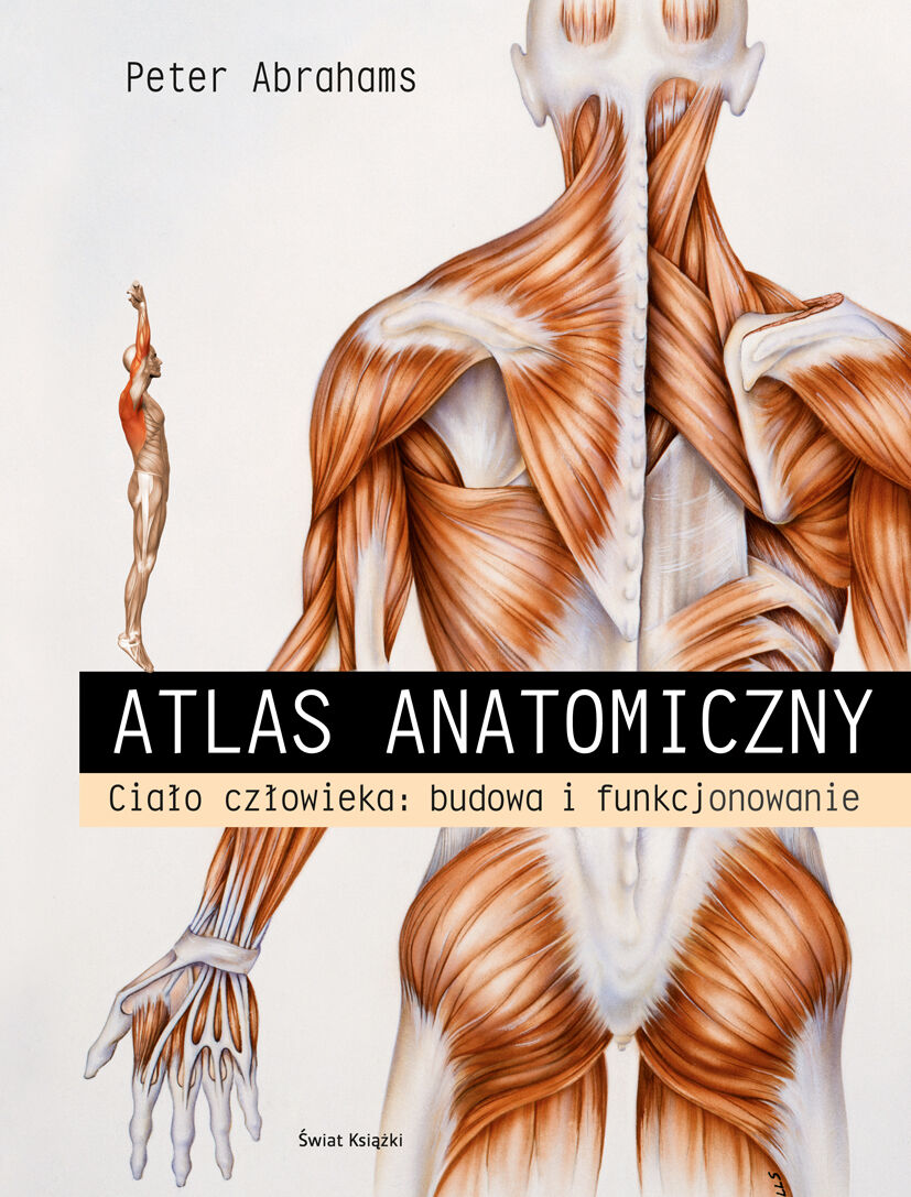 Atlas anatomiczny.