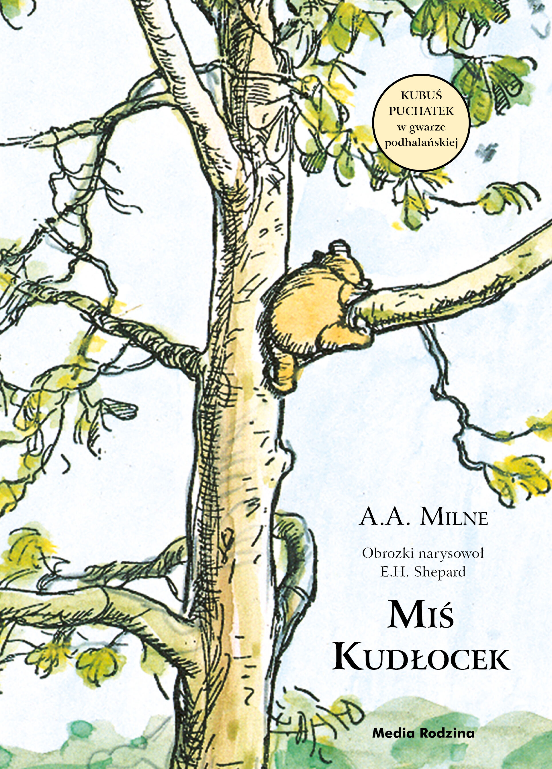 Miś Kudłocek (e-book)