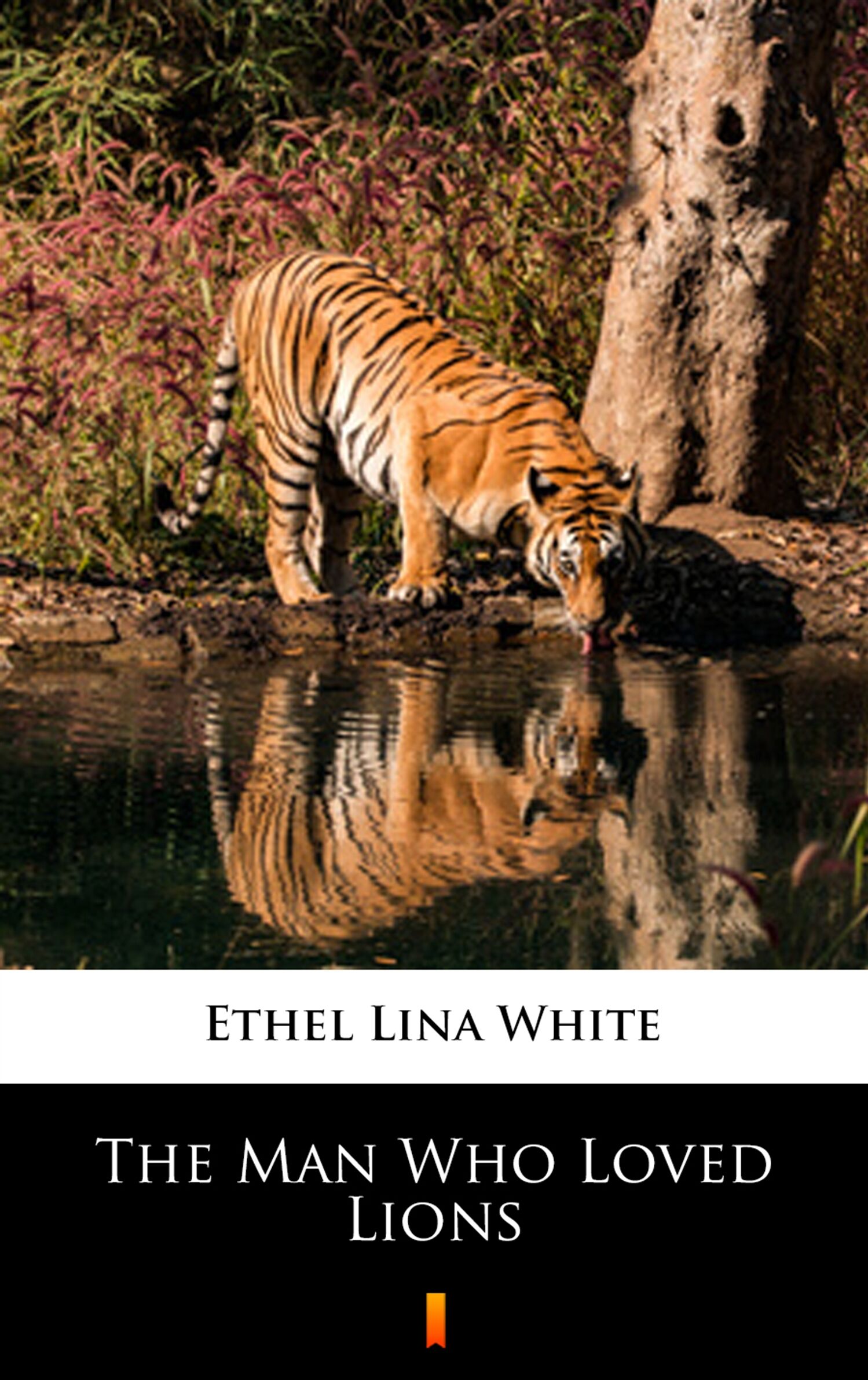 The Man Who Loved Lions (e-book)