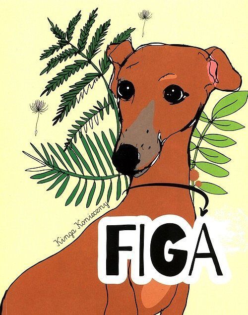 Figa