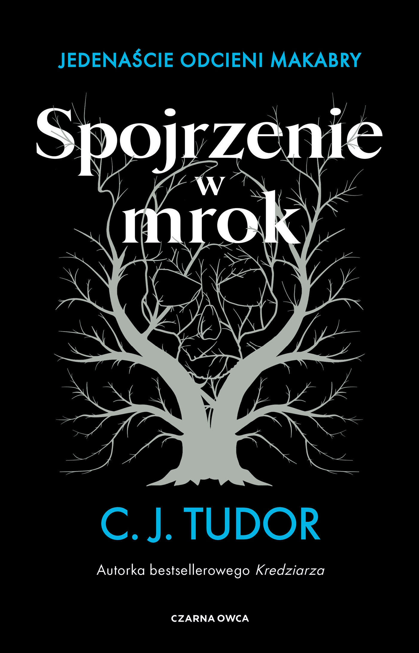 Spojrzenie w mrok (e-book)
