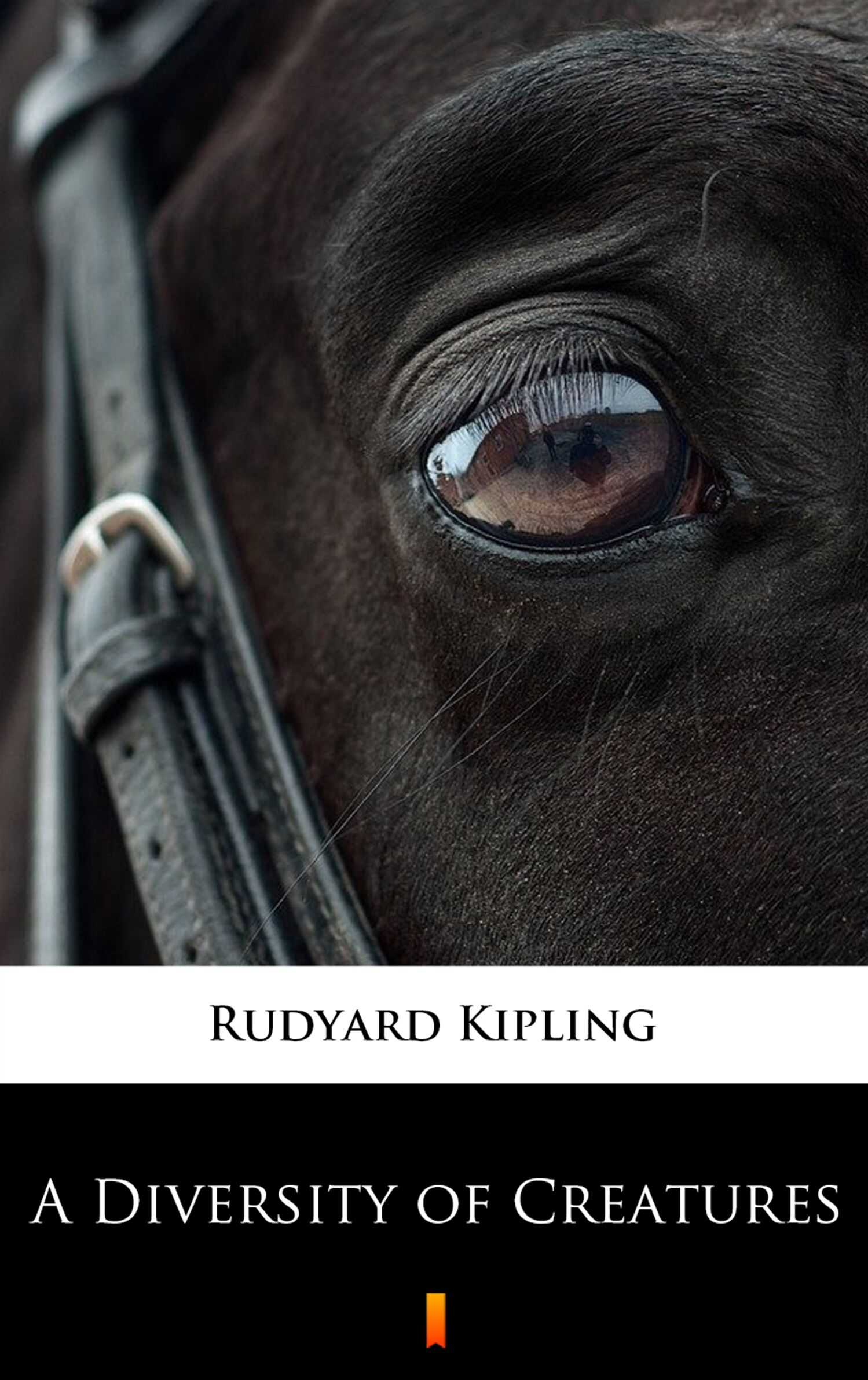 A Diversity of Creatures (e-book)