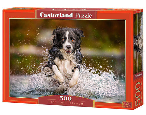 Puzzle Taste of Freedom 500