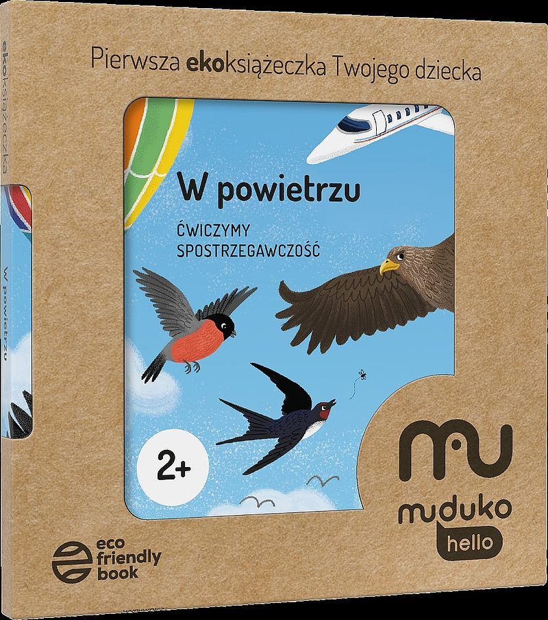 W powietrzu