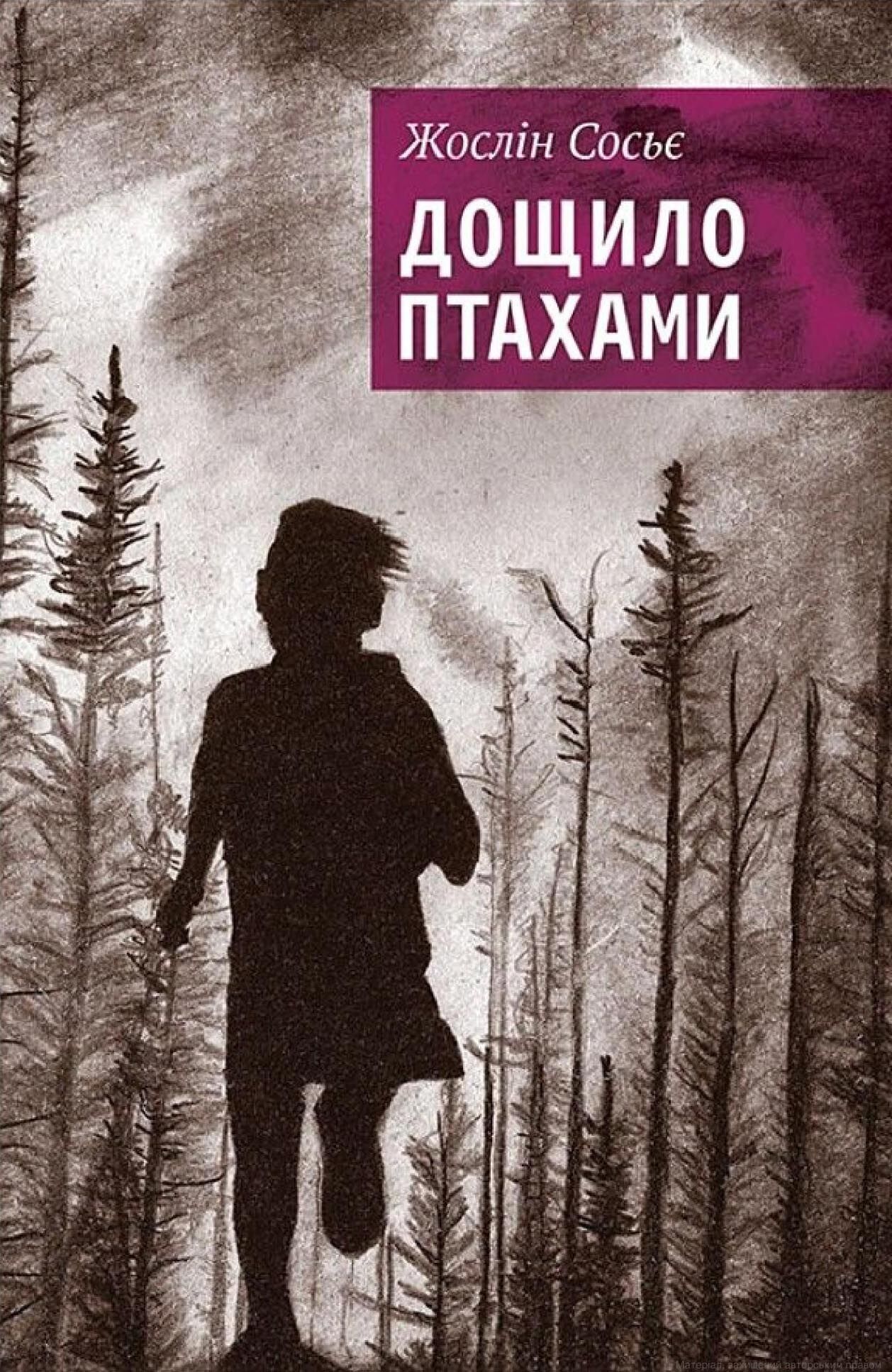 Дощило птахами (e-book)
