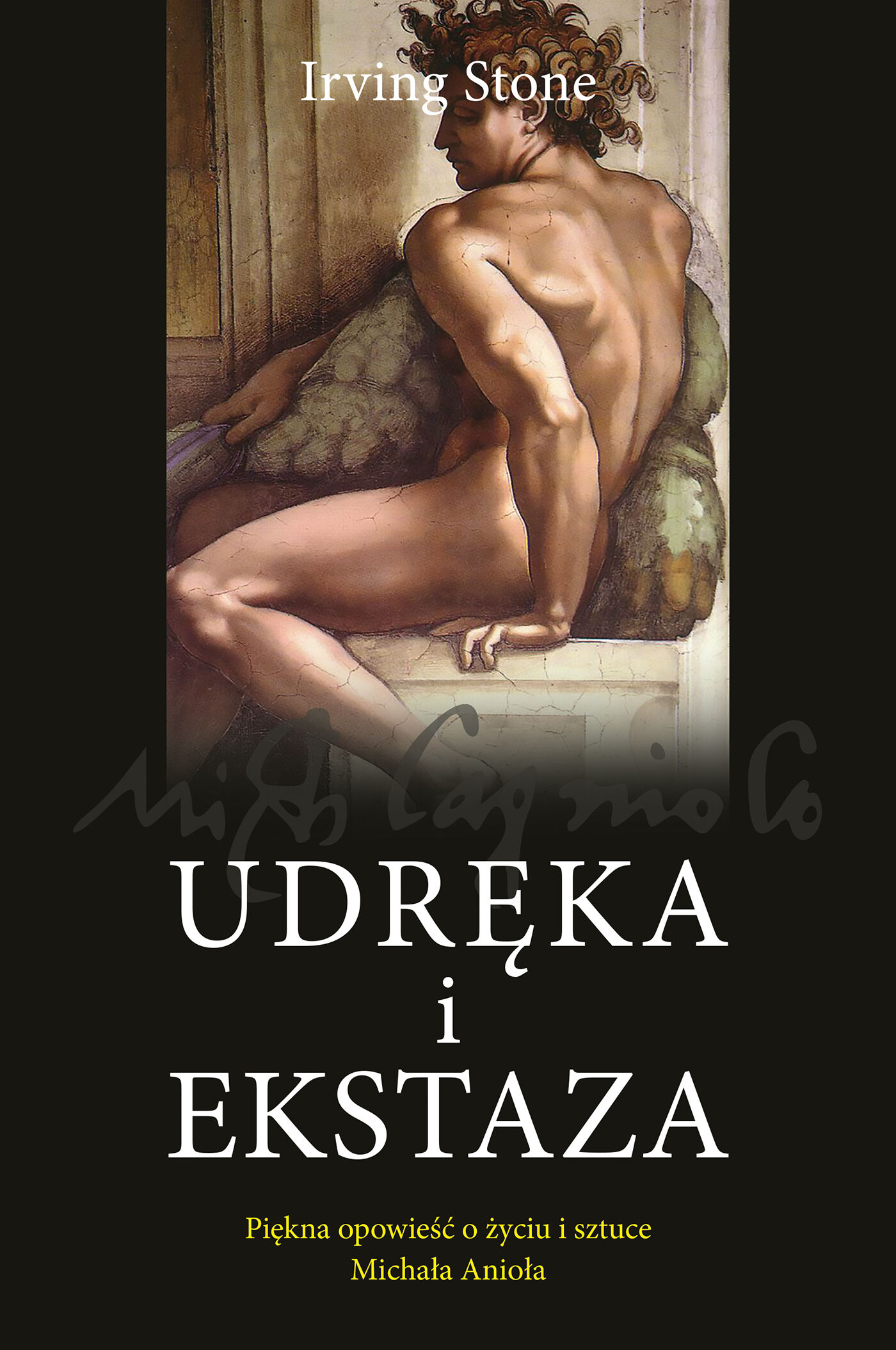 Udręka i ekstaza (e-book)