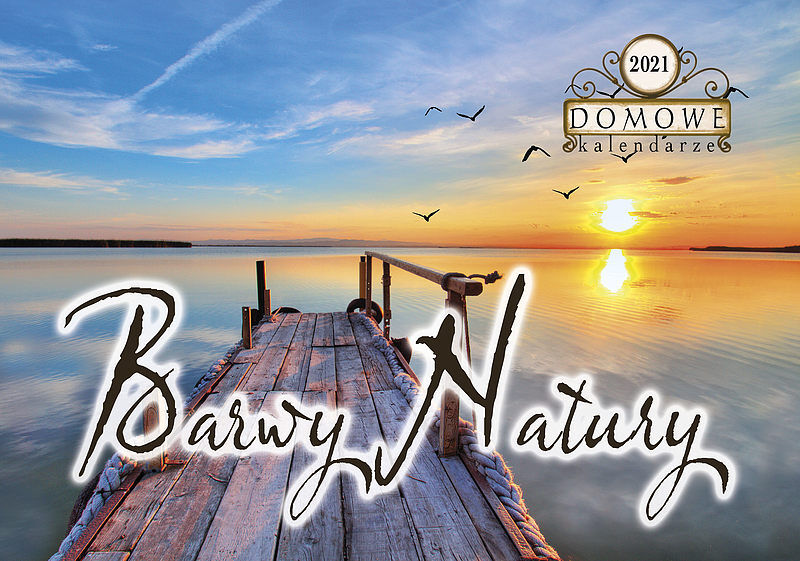 Terminarz 2021 domowy mip barwy natury