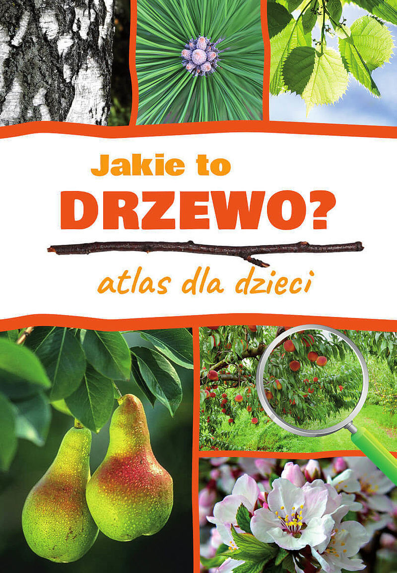 Jakie to drzewo? atlas dla dzieci