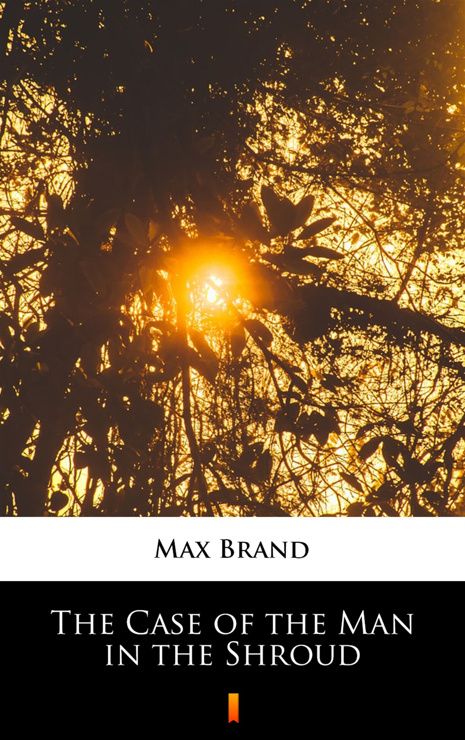 The Case of the Man in the Shroud (e-book)