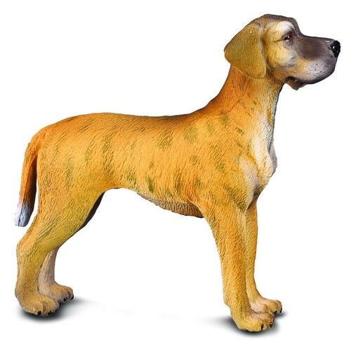 Pies dog niemiecki L