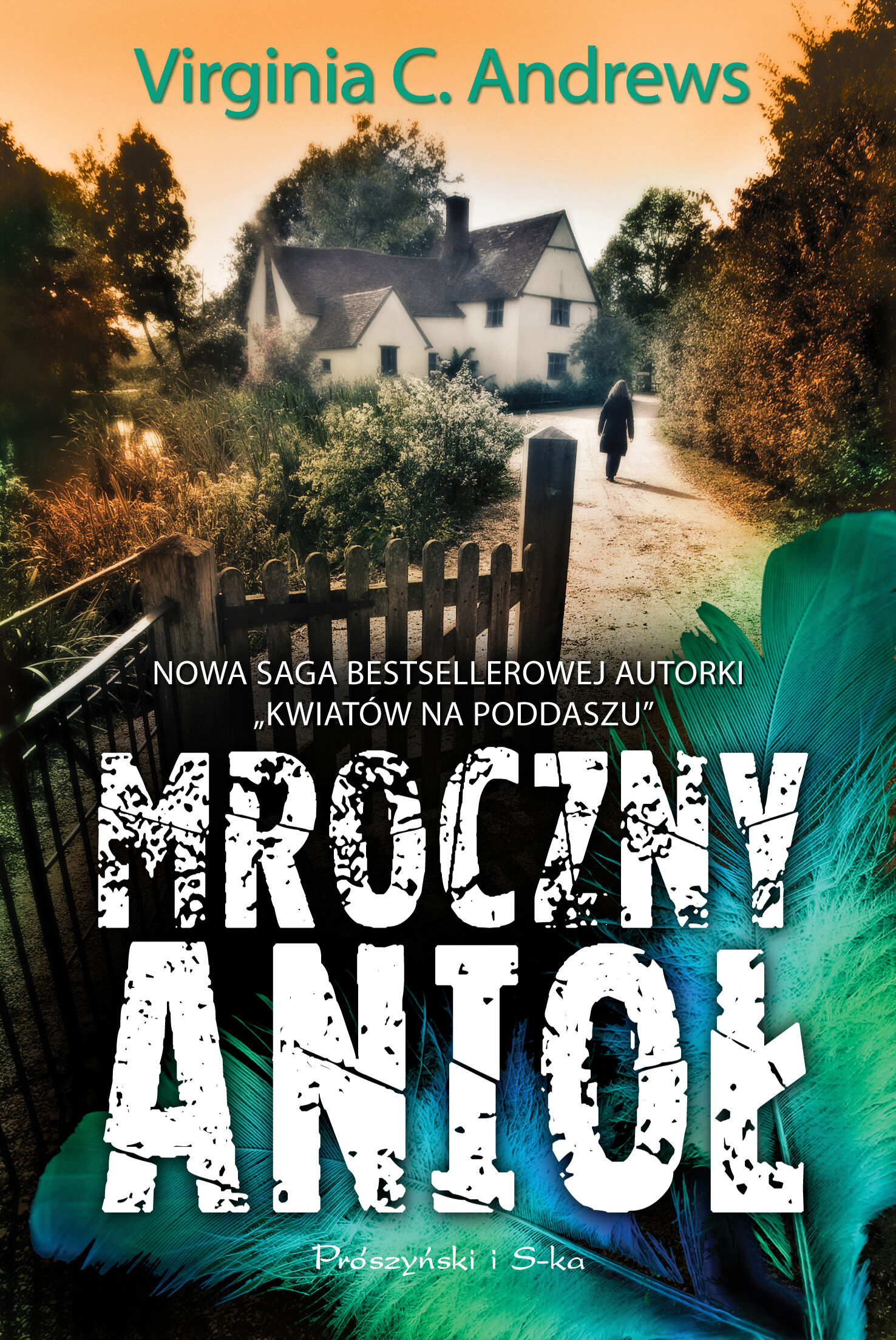 Mroczny anioł