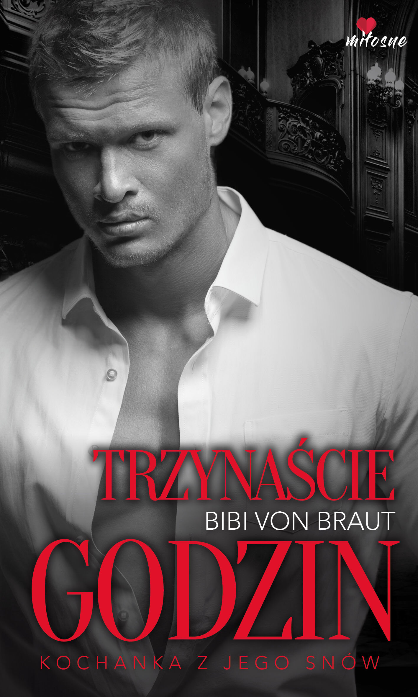 Trzynaście godzin (e-book)