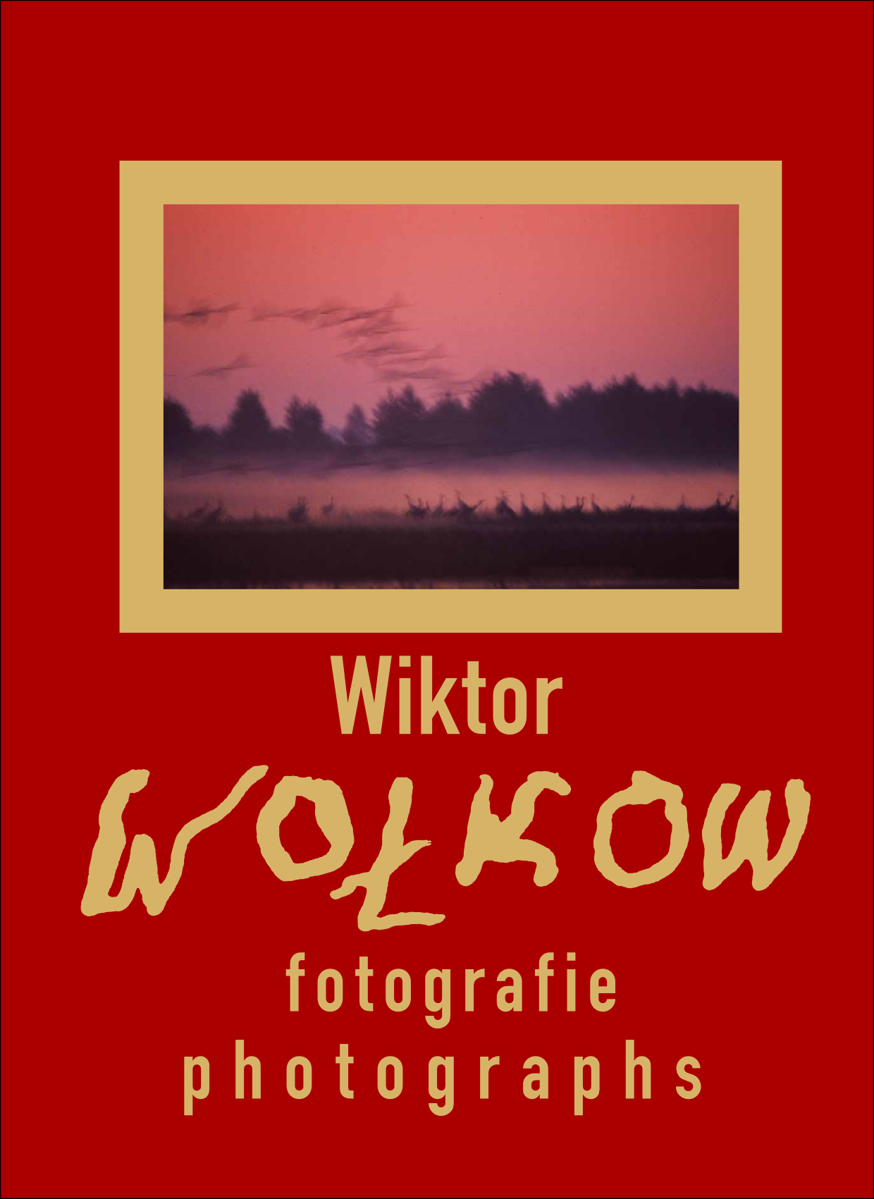 Wołkow