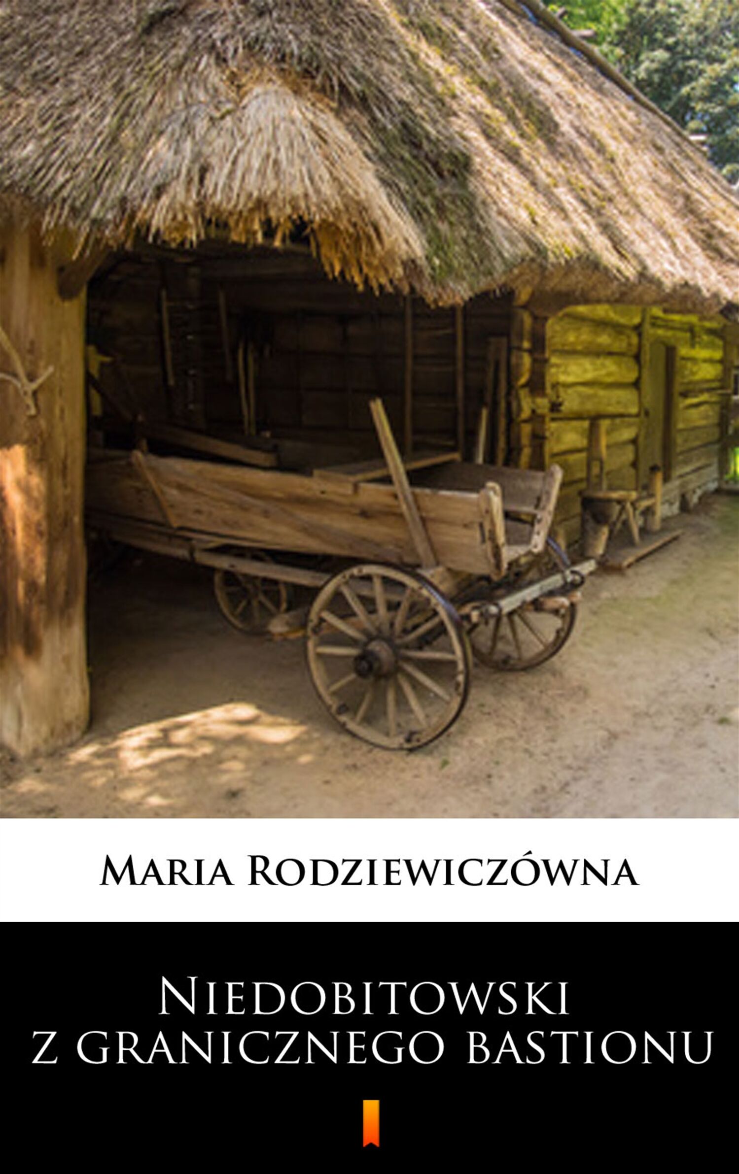 Niedobitowski z granicznego bastionu (e-book)