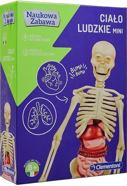 Ciało ludzkie mini 50515