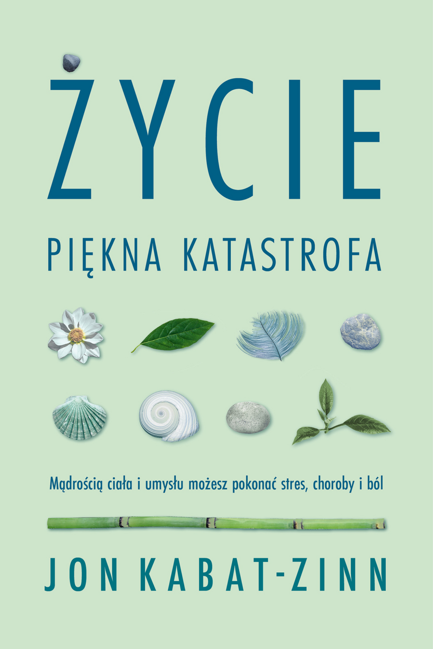 Życie, piękna katastrofa (e-book)