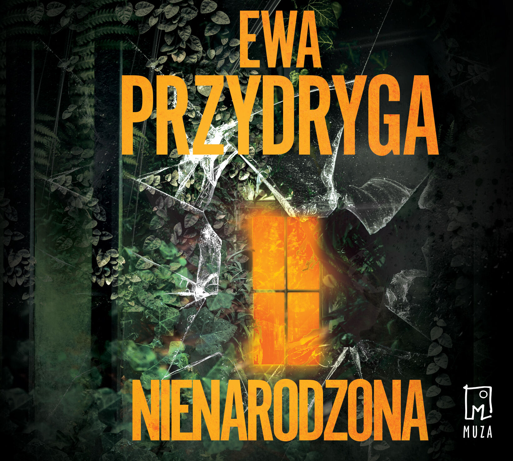 Nienarodzona (audiobook MP3)