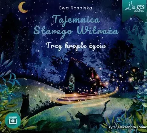 Tajemnica Starego Witraża Tom 1 Trzy krople życia (audiobook CD)