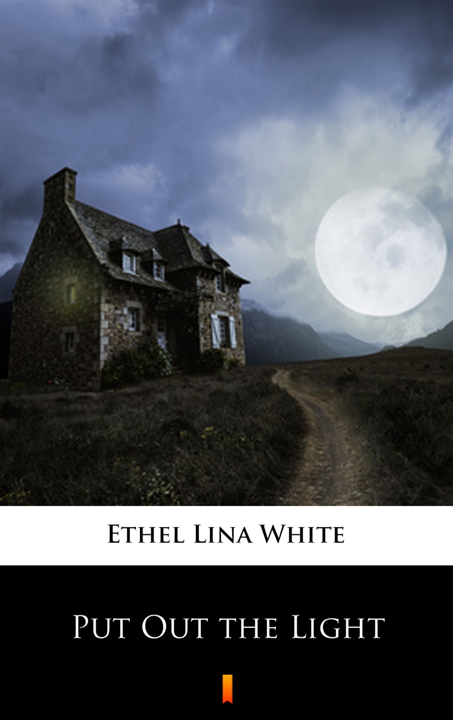 Put Out the Light (e-book)